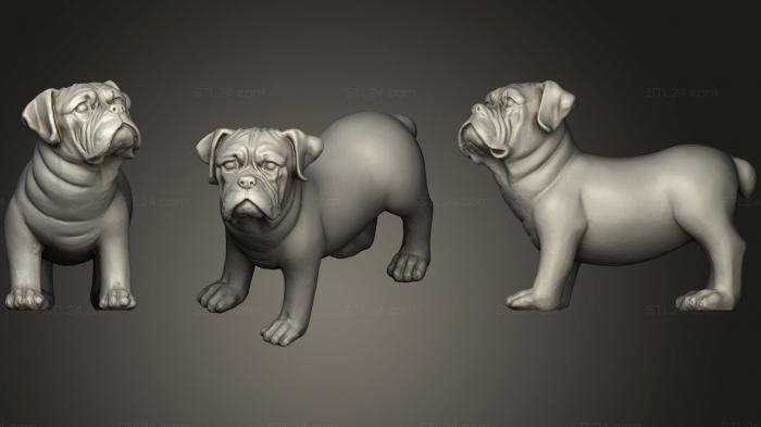 Статуэтки животных (Сканирование собак Цзянь, STKJ_0893) 3D модель для ЧПУ станка
